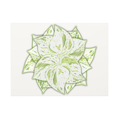 Snow Queen Pothos Canvas Print – Botanical Wall Art