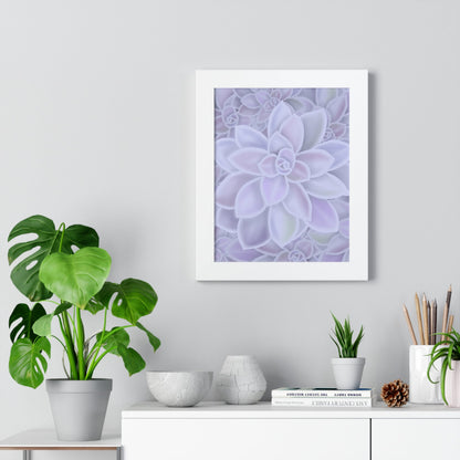 Graptopetalum Murasaki Succulent Pattern Framed Print – Botanical Wall Art