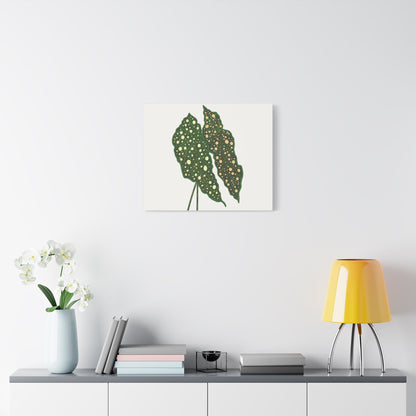 Begonia Maculata Canvas Print – Botanical Wall Art