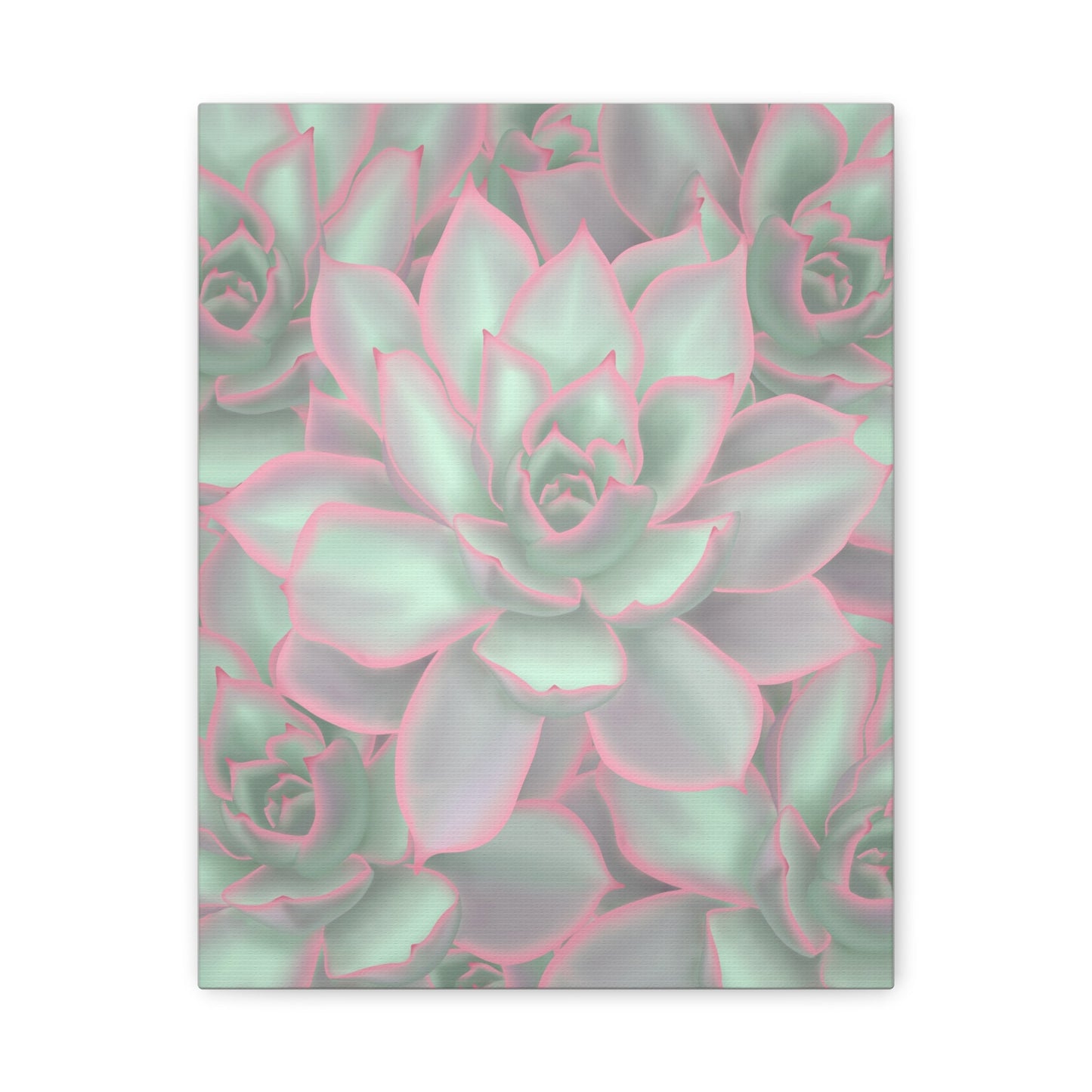 Echeveria Violet Queen Succulent Pattern Canvas Print – Botanical Wall Art