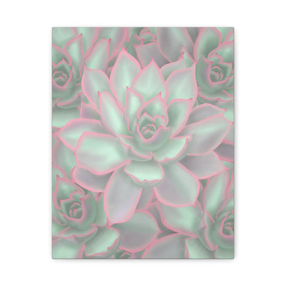 Echeveria Violet Queen Succulent Pattern Canvas Print – Botanical Wall Art