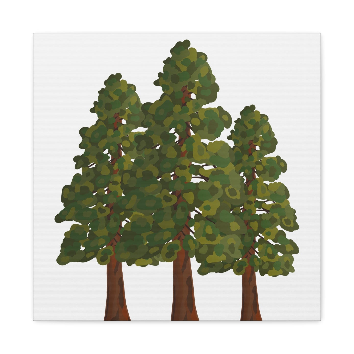 Coastal Redwood Canvas Print – Wall Art