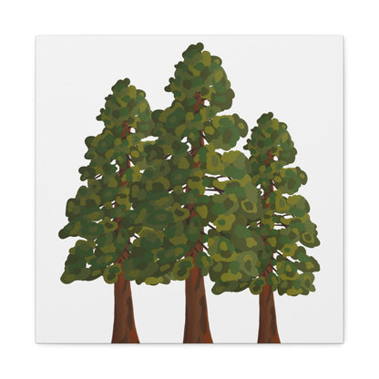 Coastal Redwood Canvas Print – Wall Art