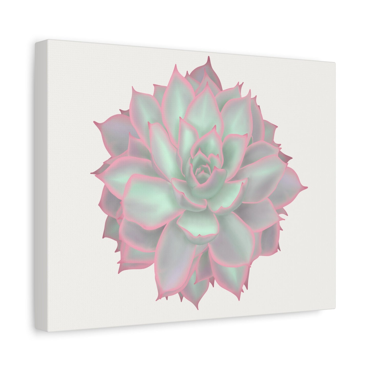 Echeveria Violet Queen Succulent Canvas Print – Botanical Wall Art