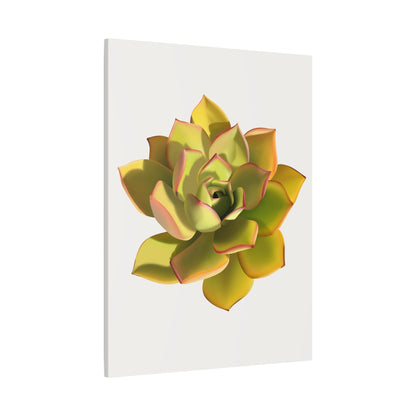 Noble Aeonium Succulent Canvas Print – Botanical Wall Art