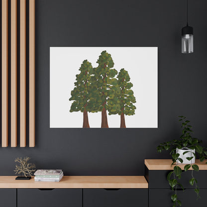 Coastal Redwood Canvas Print – Wall Art