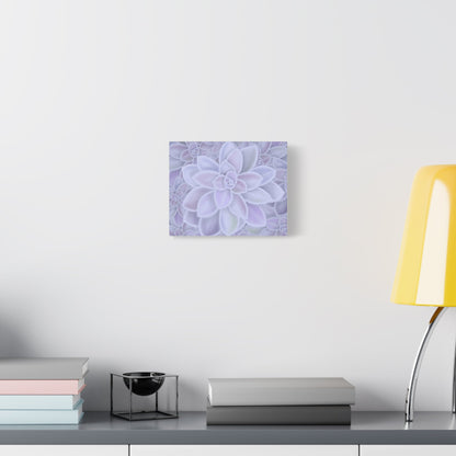 Graptopetalum Murasaki Succulent Pattern Canvas Print – Botanical Wall Art