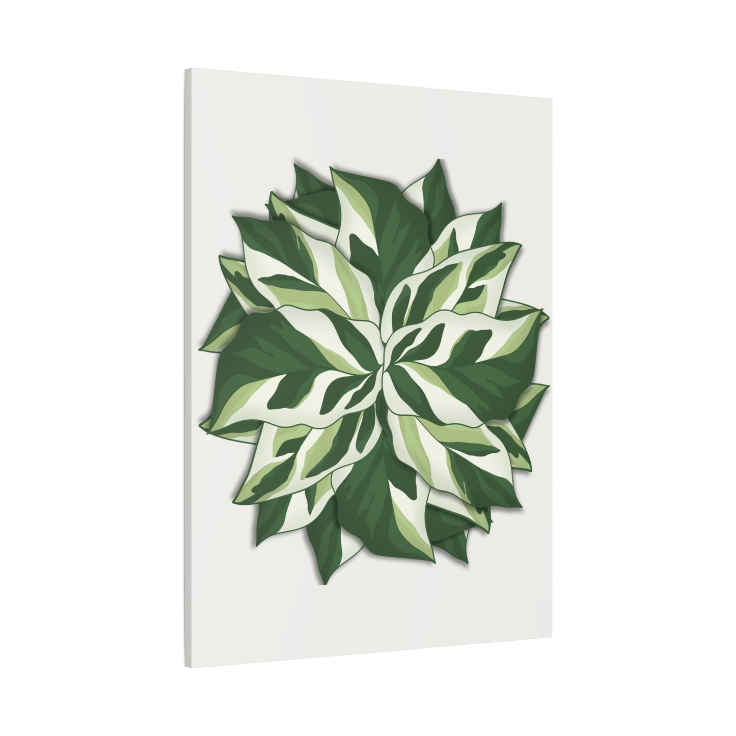 Calathea White Fusion Canvas Print – Botanical Wall Art