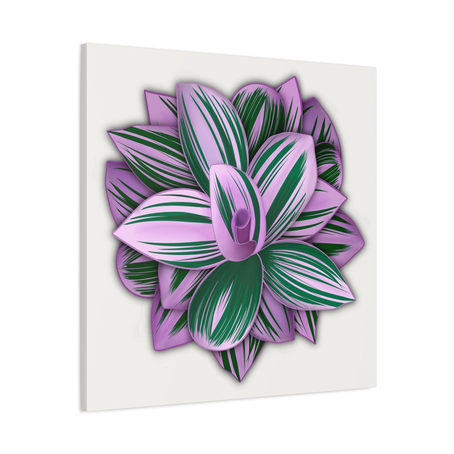 Tradescantia Nanouk Canvas Print – Botanical Wall Art