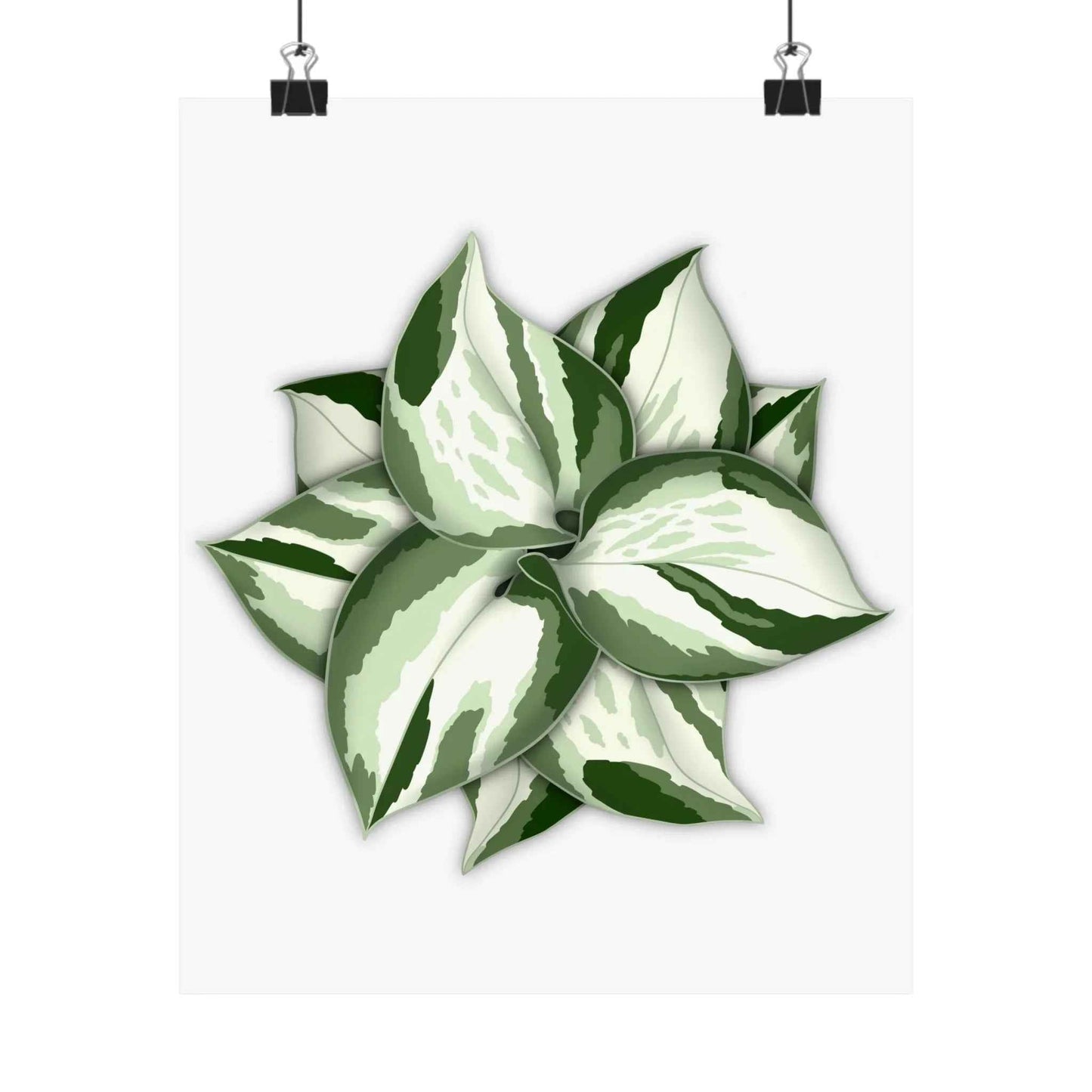 Manjula Pothos Botanical Print – Unframed Wall Art
