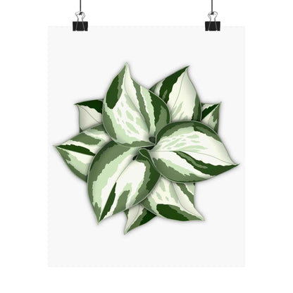 Manjula Pothos Botanical Print – Unframed Wall Art