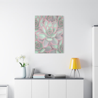 Echeveria Violet Queen Succulent Pattern Canvas Print – Botanical Wall Art
