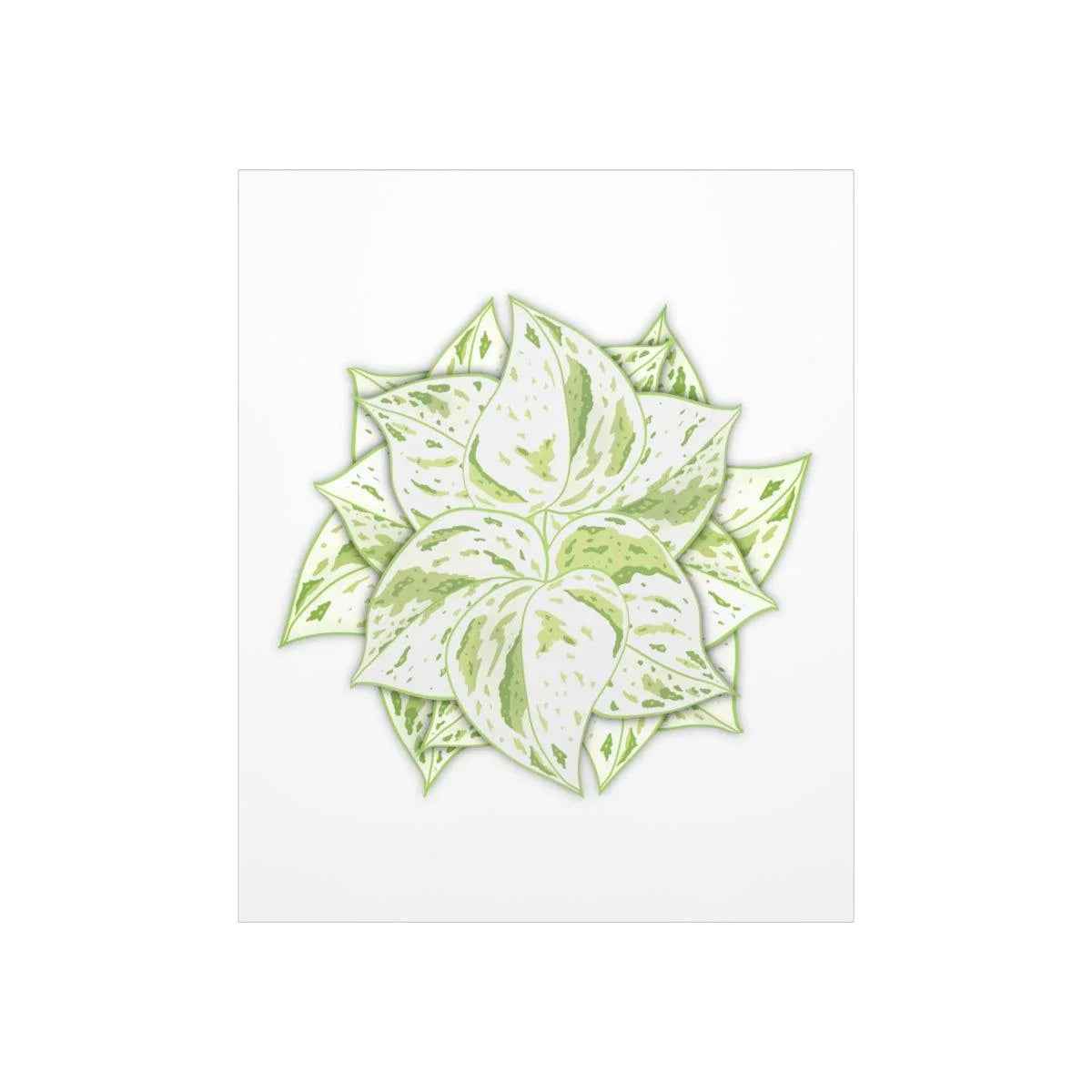 Snow Queen Pothos Botanical Print – Unframed Wall Art