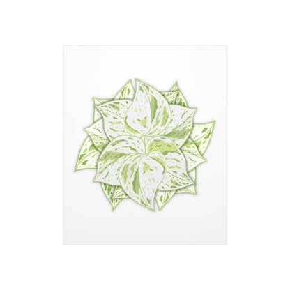 Snow Queen Pothos Botanical Print – Unframed Wall Art