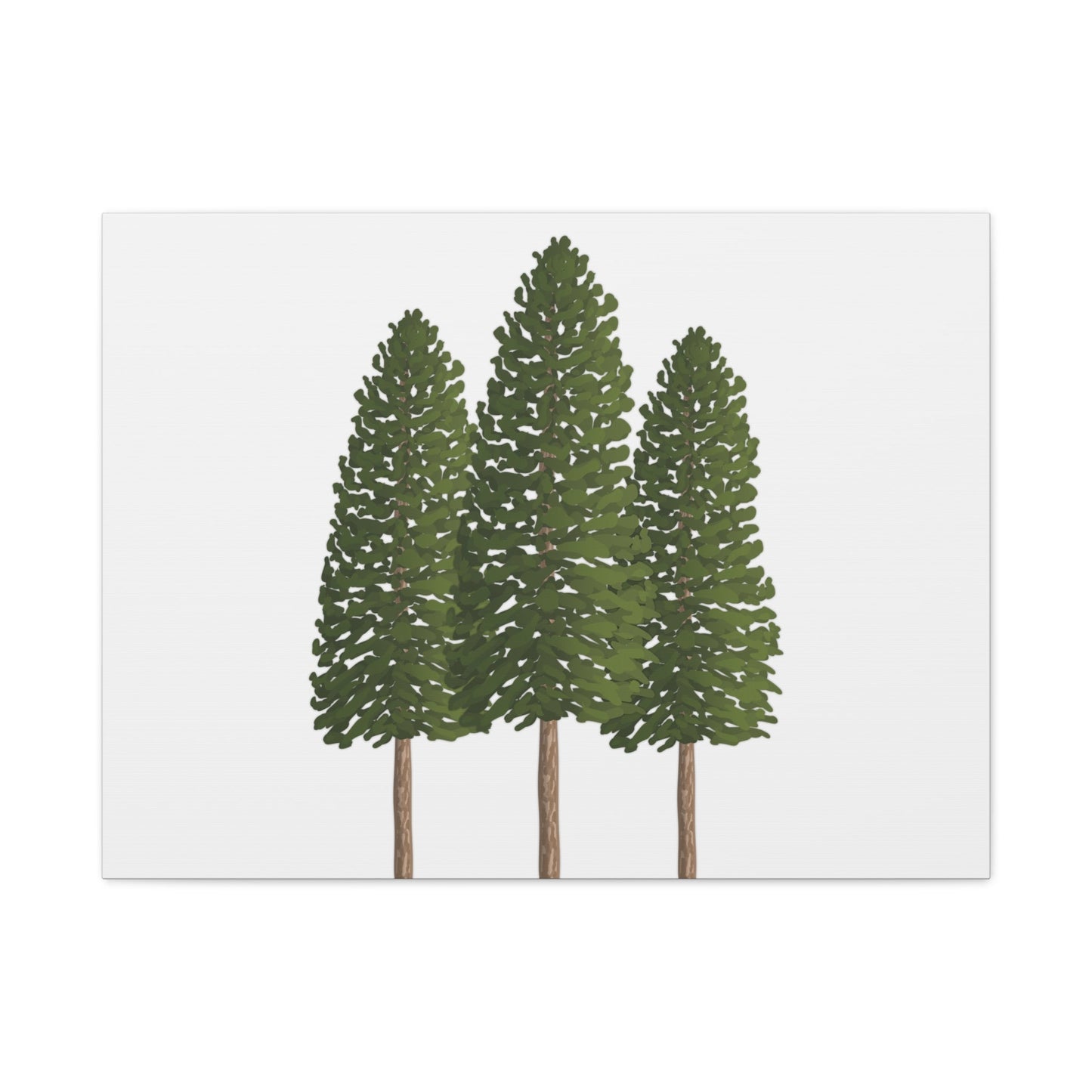Ponderosa Pine Canvas Print – Wall Art