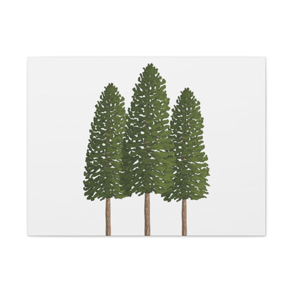 Ponderosa Pine Canvas Print – Wall Art