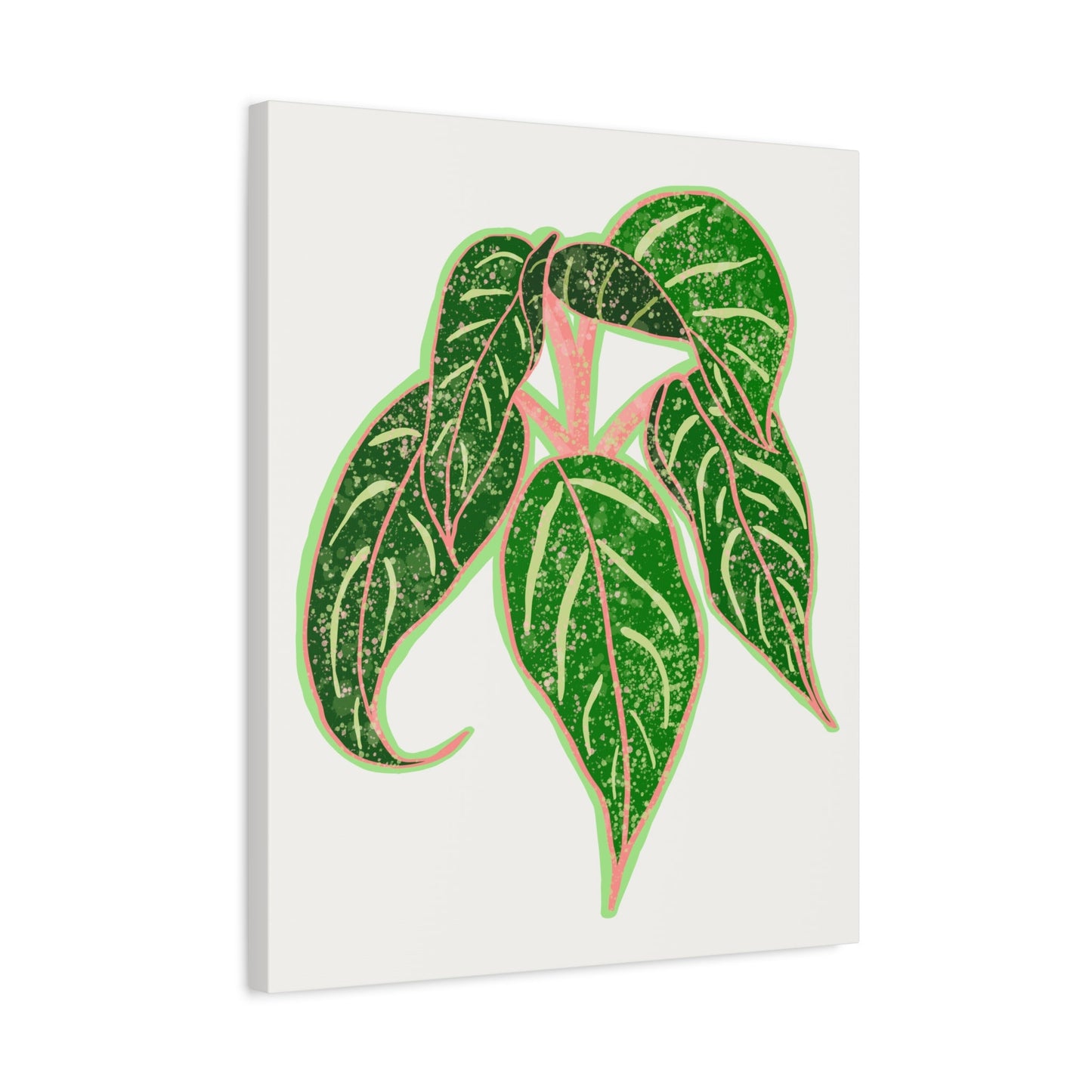 Aglaonema Sparkling Sarah Canvas Print – Botanical Wall Art
