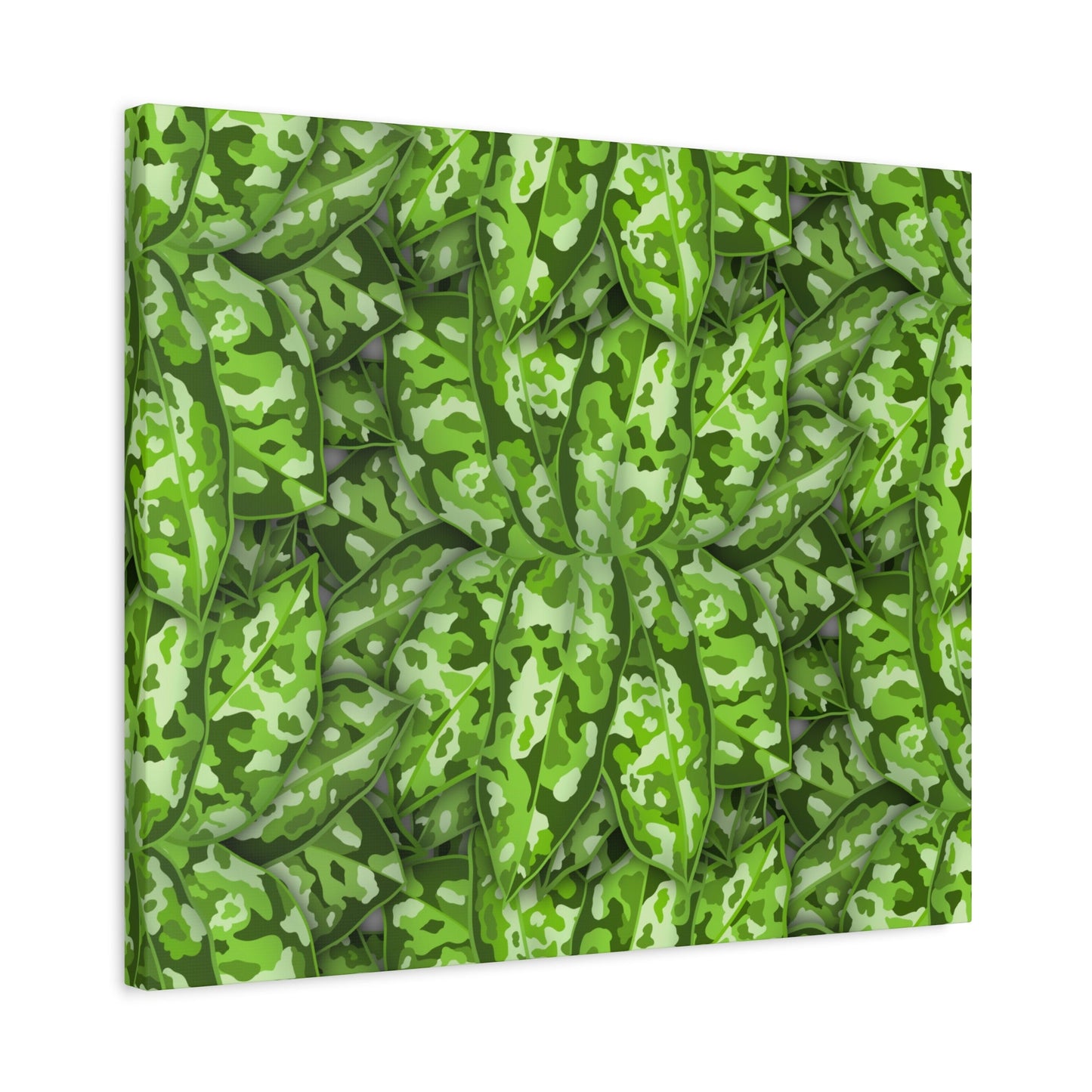 Aglaonema Pictum Canvas Print – Botanical Wall Art
