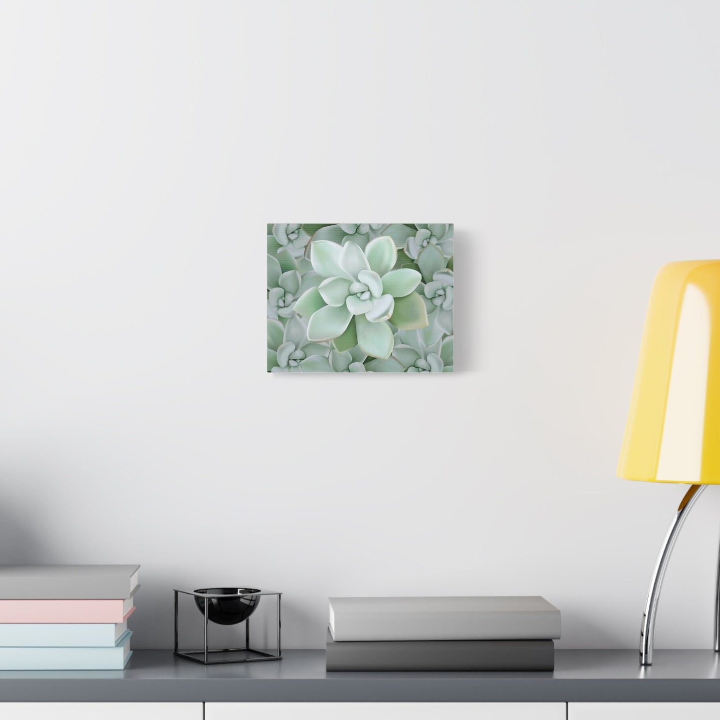 Pachyveria Haagei Succulent Pattern Canvas Print – Botanical Wall Art
