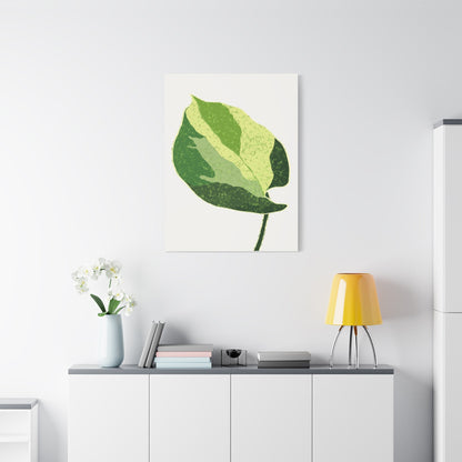 Manjula Pothos Illustrated Canvas Print – Botanical Wall Art
