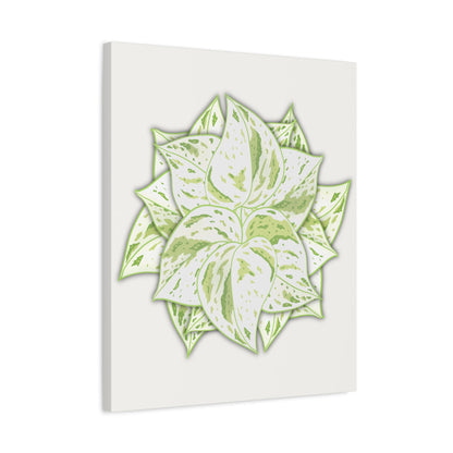 Snow Queen Pothos Canvas Print – Botanical Wall Art