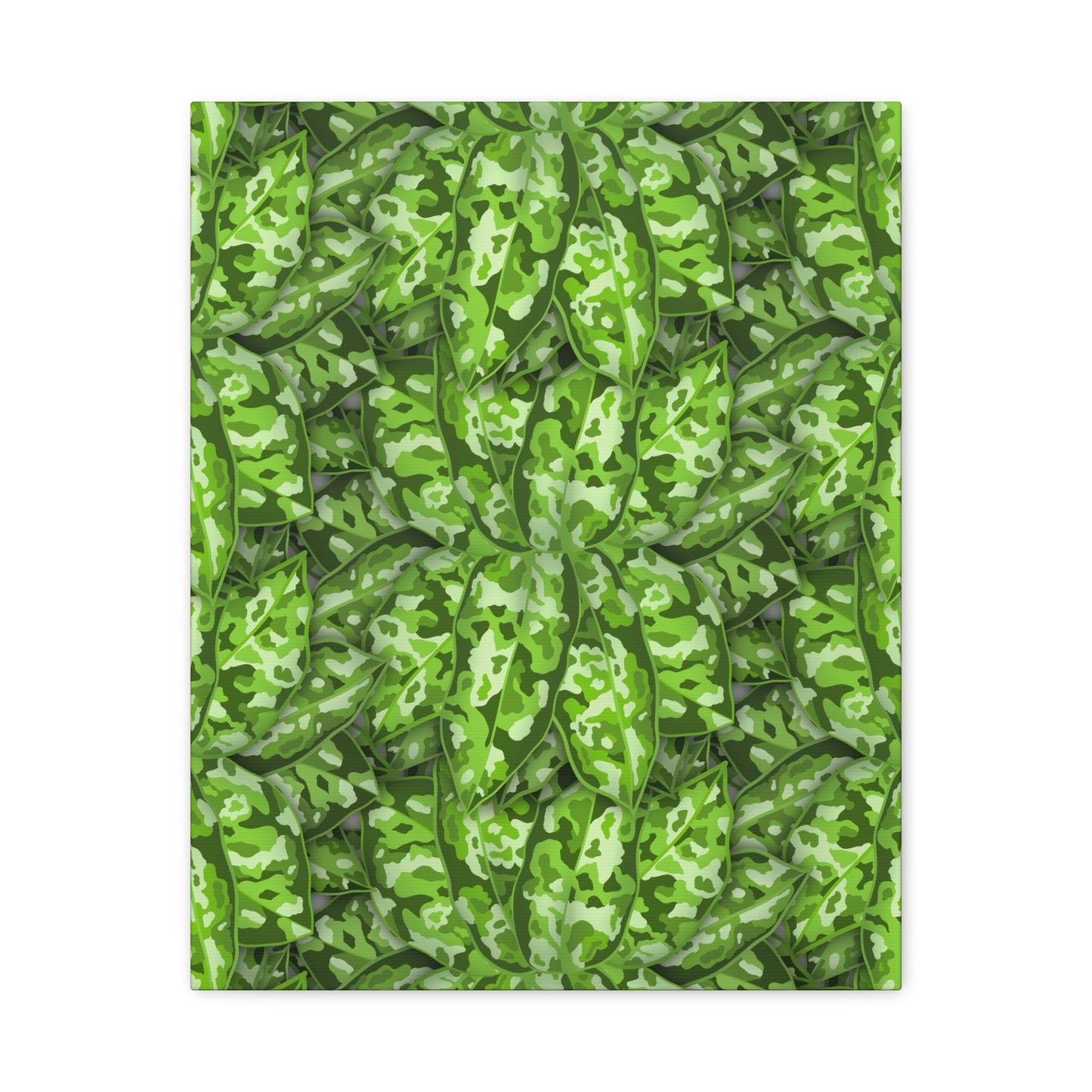 Aglaonema Pictum Canvas Print – Botanical Wall Art