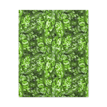 Aglaonema Pictum Canvas Print – Botanical Wall Art