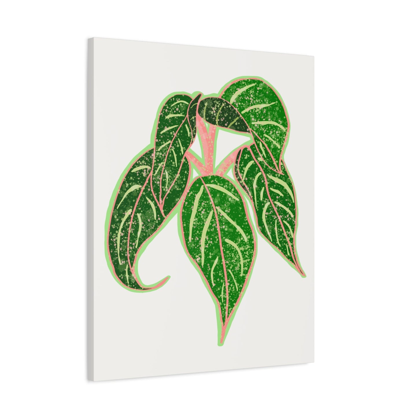 Aglaonema Sparkling Sarah Canvas Print – Botanical Wall Art