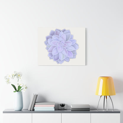 Graptopetalum Murasaki Succulent Canvas Print – Botanical Wall Art