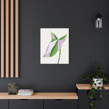 Syngonium Tricolor Canvas Print – Botanical Wall Art