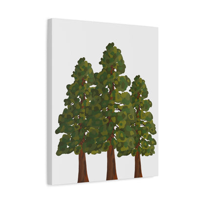Coastal Redwood Canvas Print – Wall Art