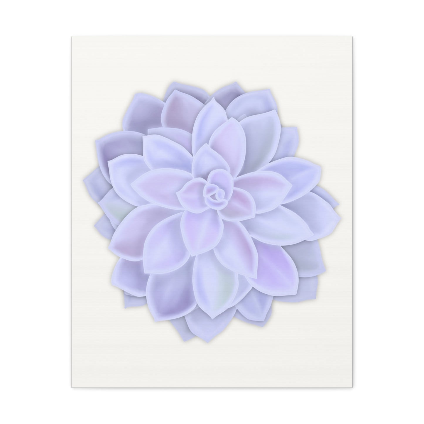 Graptopetalum Murasaki Succulent Canvas Print – Botanical Wall Art