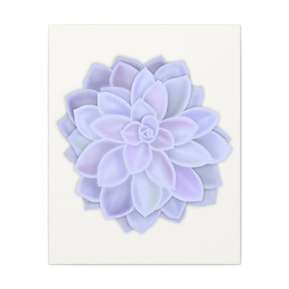 Graptopetalum Murasaki Succulent Canvas Print – Botanical Wall Art