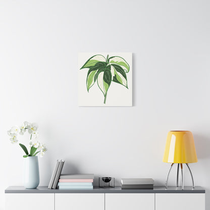 Philodendron Cream Splash Canvas Print – Botanical Wall Art