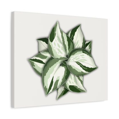 Manjula Pothos Canvas Print – Botanical Wall Art