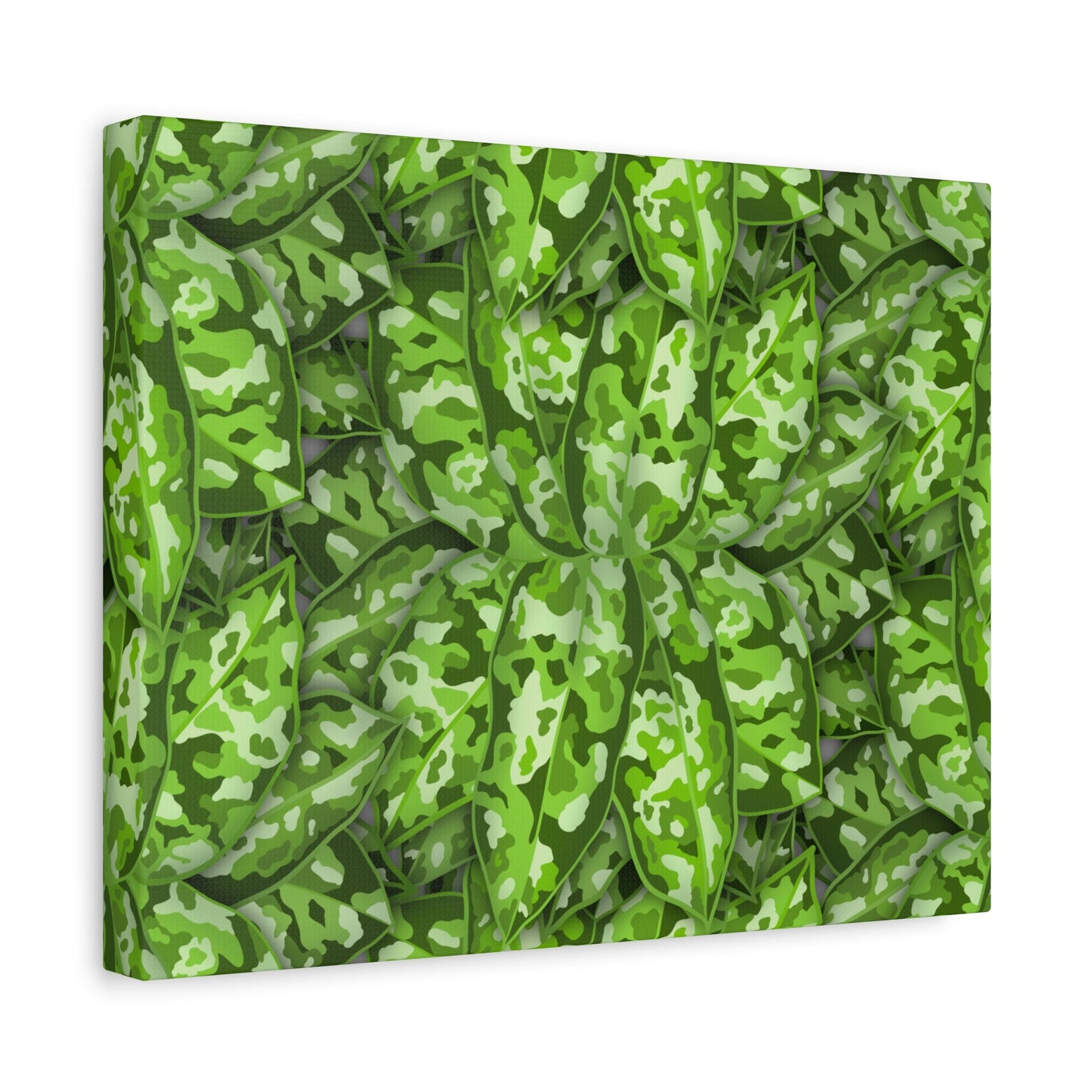 Aglaonema Pictum Canvas Print – Botanical Wall Art