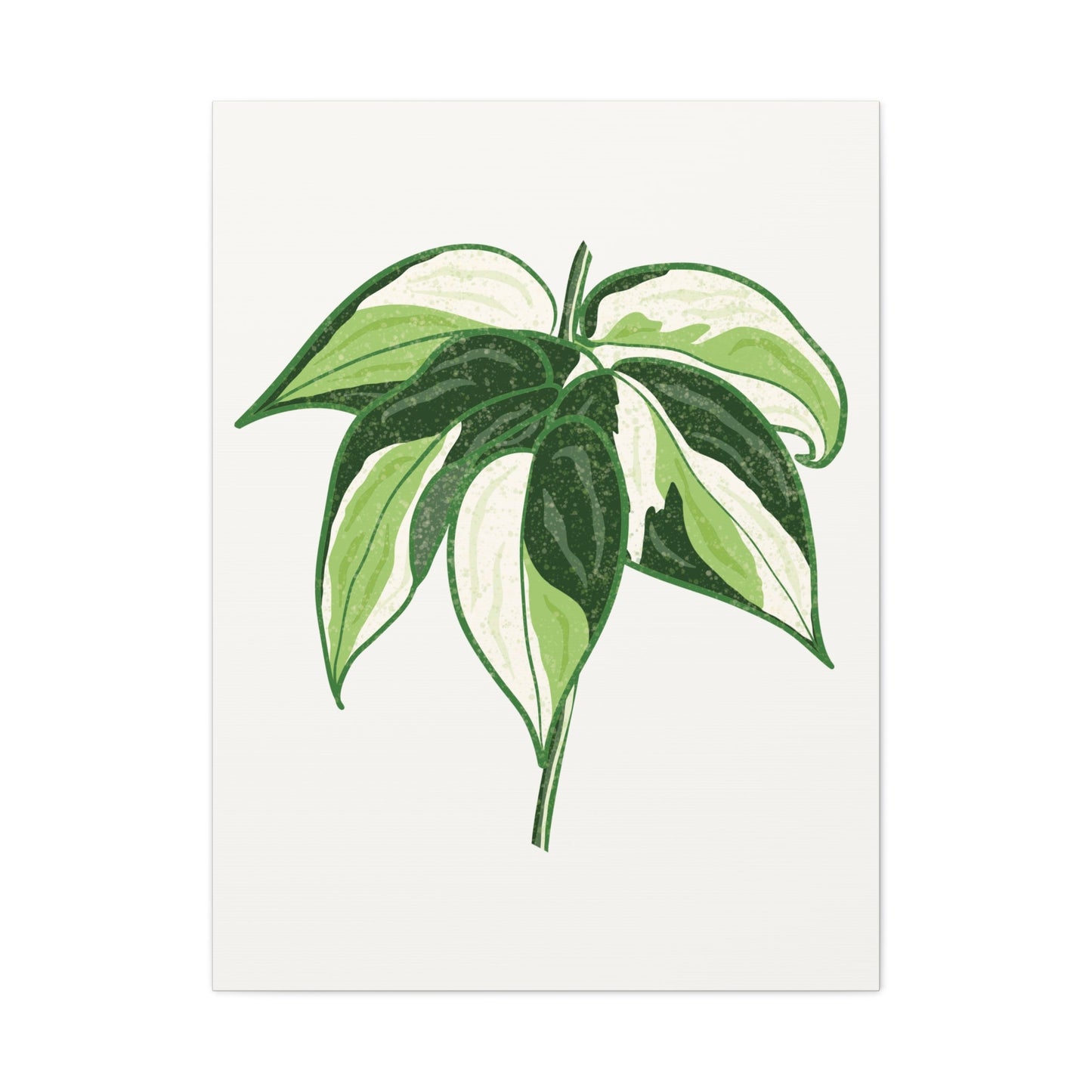 Philodendron Cream Splash Canvas Print – Botanical Wall Art