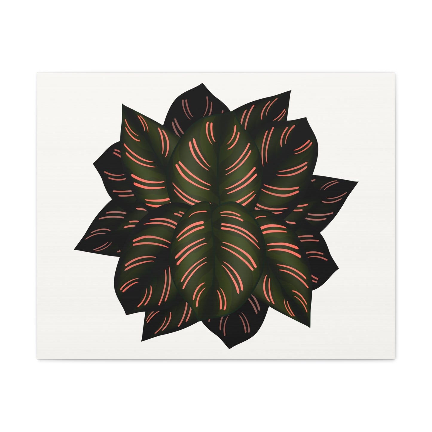 Calathea Pinstripe Canvas Print – Botanical Wall Art