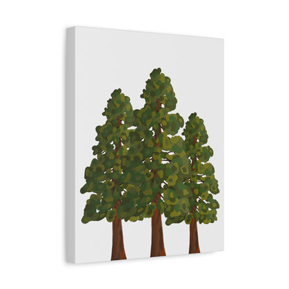 Coastal Redwood Canvas Print – Wall Art