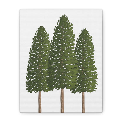 Ponderosa Pine Canvas Print – Wall Art