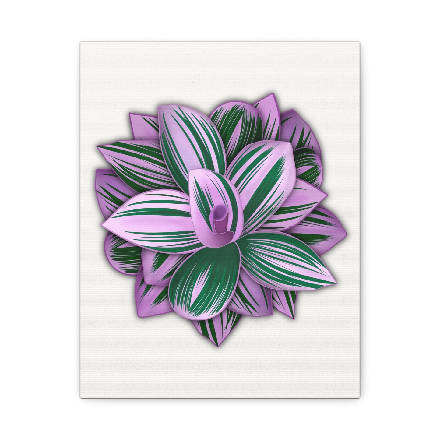 Tradescantia Nanouk Canvas Print – Botanical Wall Art