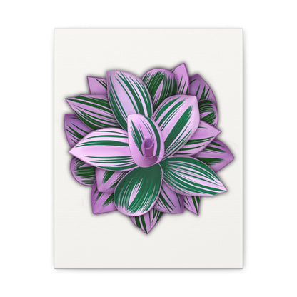 Tradescantia Nanouk Canvas Print – Botanical Wall Art