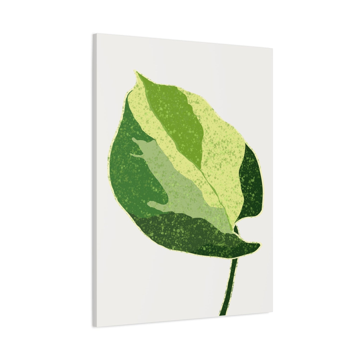 Manjula Pothos Illustrated Canvas Print – Botanical Wall Art