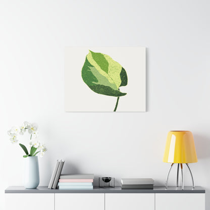 Manjula Pothos Illustrated Canvas Print – Botanical Wall Art