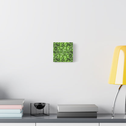 Aglaonema Pictum Canvas Print – Botanical Wall Art