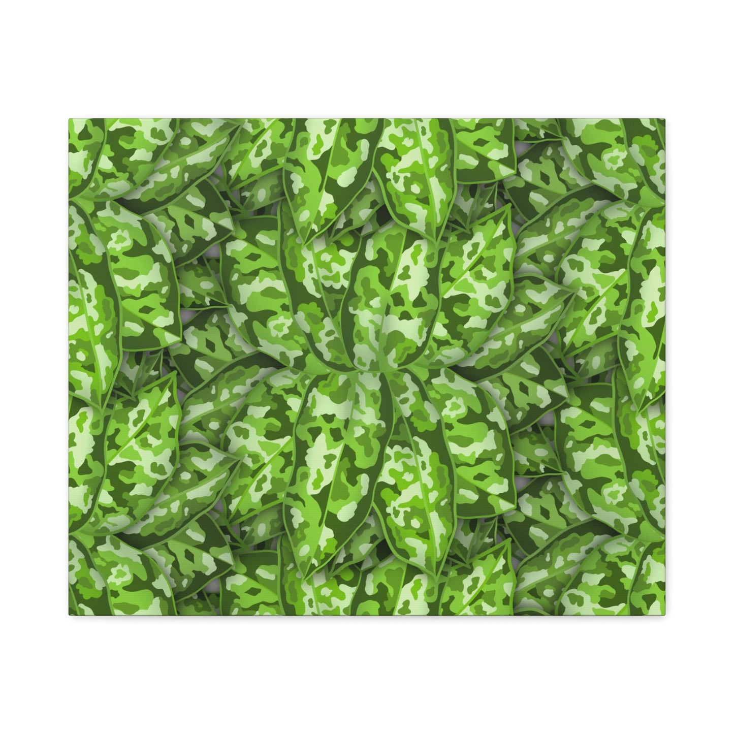 Aglaonema Pictum Canvas Print – Botanical Wall Art
