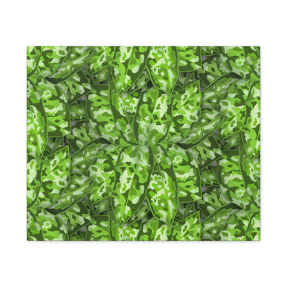Aglaonema Pictum Canvas Print – Botanical Wall Art