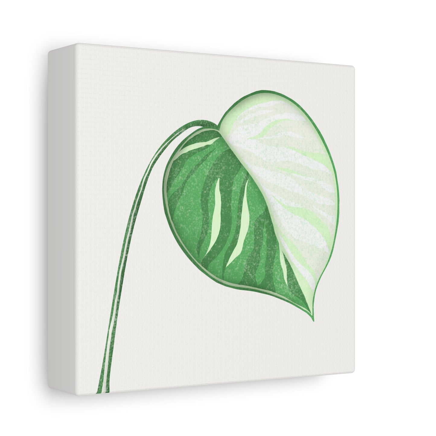 Monstera Albo Canvas Print – Botanical Wall Art