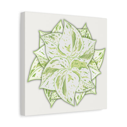 Snow Queen Pothos Canvas Print – Botanical Wall Art