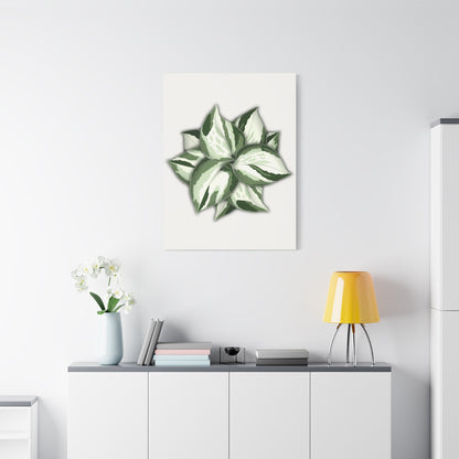Manjula Pothos Canvas Print – Botanical Wall Art